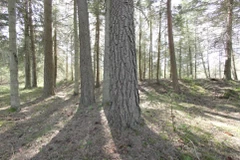 Je sais qu’il est trop gros pour moi, mais j’aime toujours ça