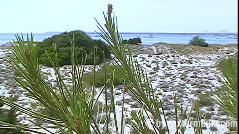 Sextermedia by Pete: MILF Sexy Nue Sur La Plage Naturiste