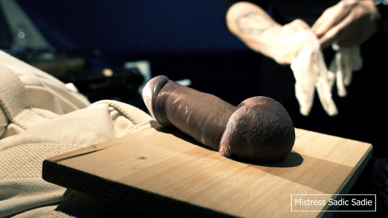 Sadic Sadie: 도토리에 공과 바늘을 못 박는 건 처음이에요.