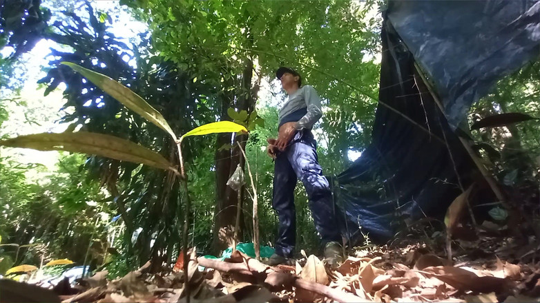 Amanda the black panther: 異母義理の兄弟にハイキングで裏切られた