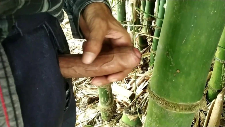 Desimast7: Ich sollte nach dem abspritzen aufhören, penis zu reiben. ich...