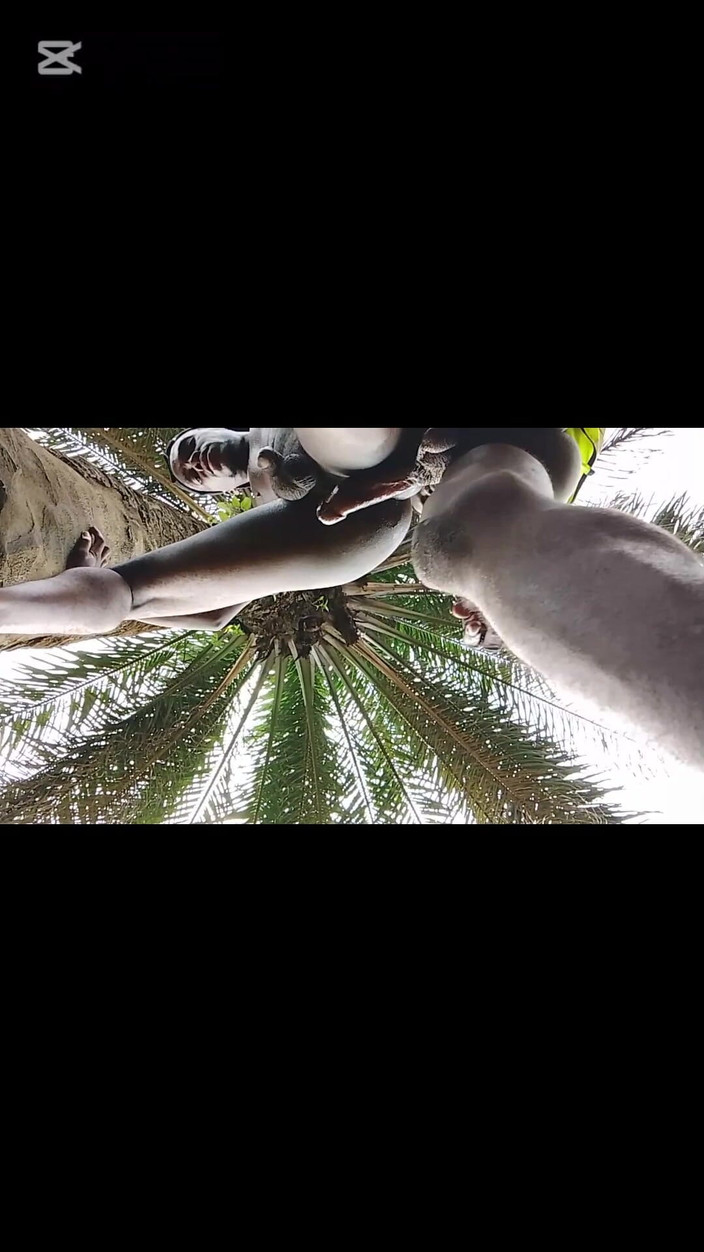 Porchey: Ovace ve stoje mého pracovníka šukej špatně v práci