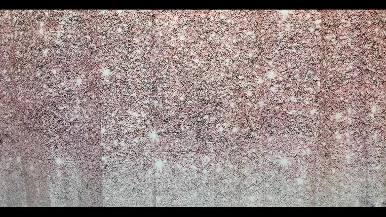 TonyFontana: J’étais chez un ami