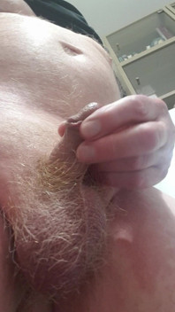 My Tiny Dick Show
