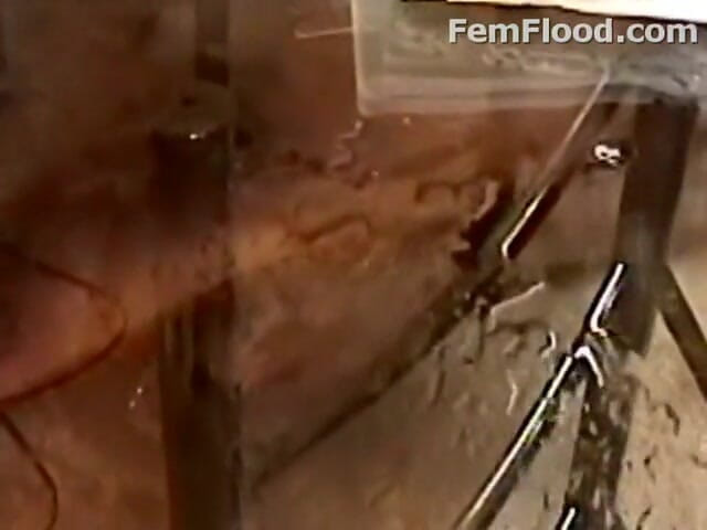 Fem Flood: Фонтан радости
