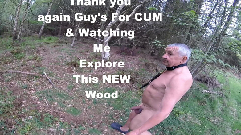 Andy: Procházka 20 2025