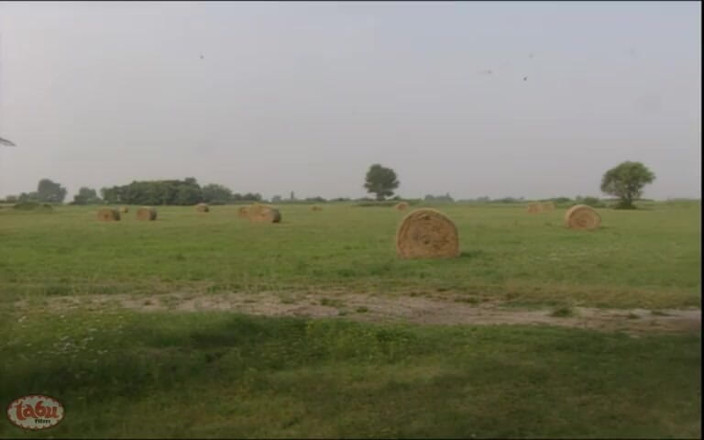Tabu Film: Taboo Film Classic: a Fucking Summer Day