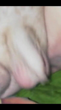 Jiggle