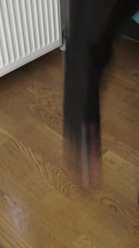 German POV Ballbusting