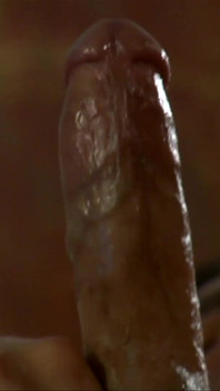 Big Tit Blonde Brooke Banner Fucks Nick Manning
