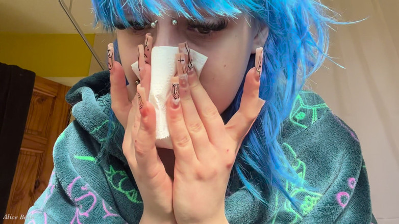 Alice Bean: Hayfever Honks