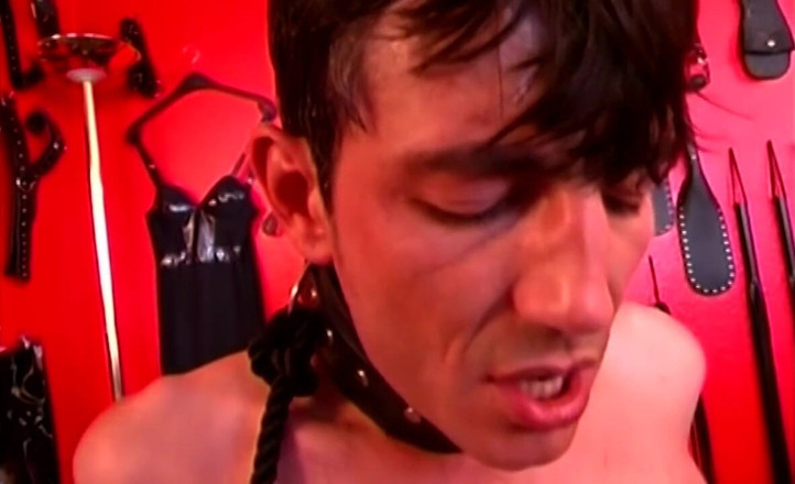 BDSM6.CLUB: Dominant MILFs Pegging Collared Slaves with Thick Strap-ons
