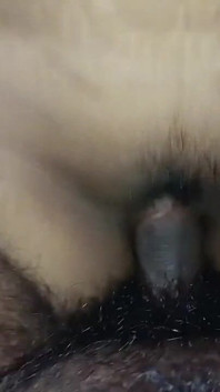 Cum Shot Inside White Girl Free Video Hot Video