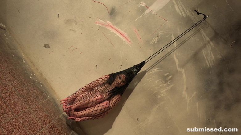 Submissed: Аліса в пастці і звисає в мережі, отримуючи вібрацію