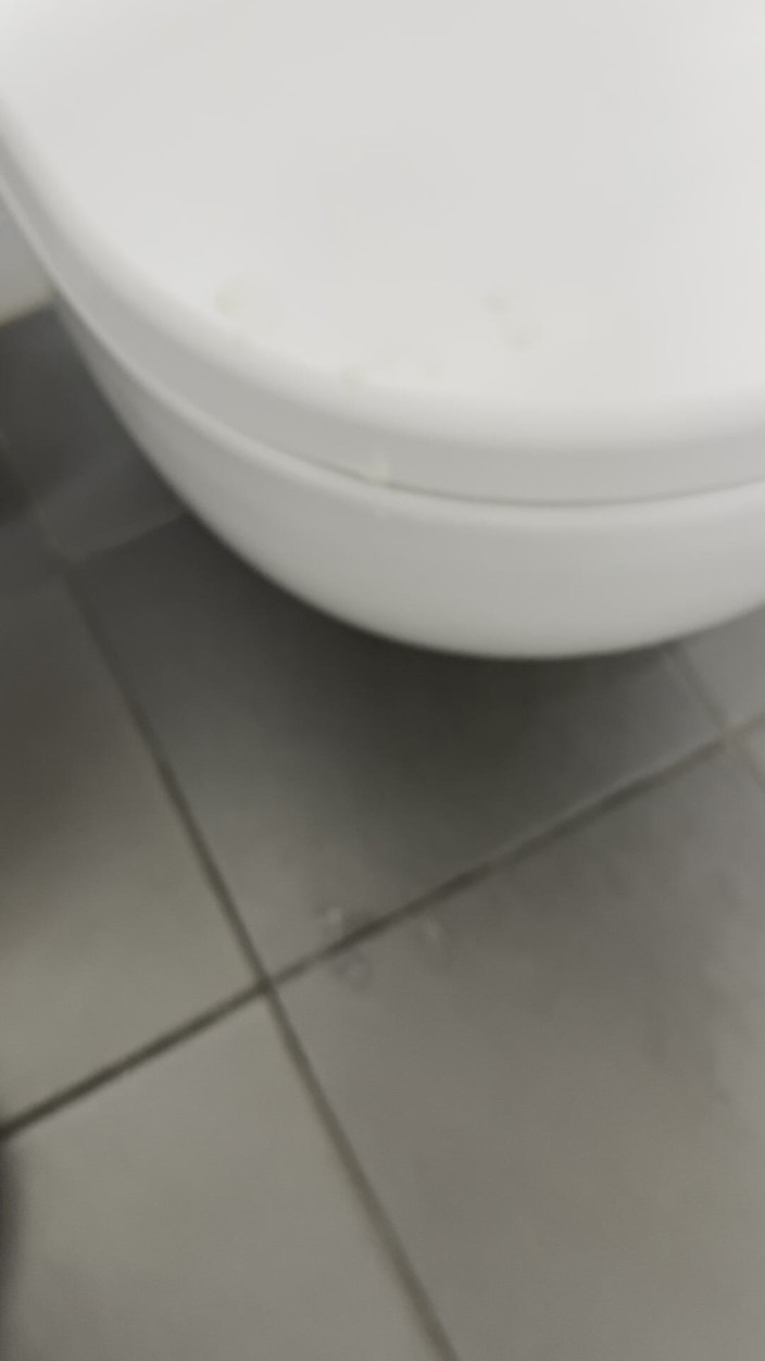 Wesley Fudedor: 在我工作时在浴室里观看色情片并高潮