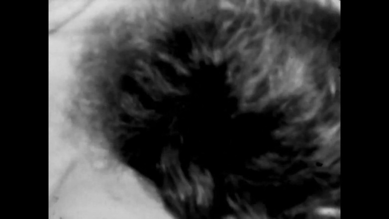 Vintage megastore: Jogo Afrodisíaco Lésbico