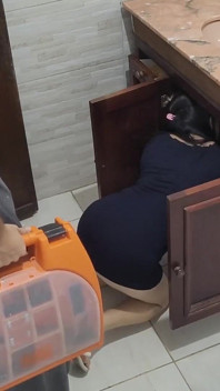 Am avut încredere în soția mea că o voi întâlni pe instalator, uită-te la prostiile pe care le face la el