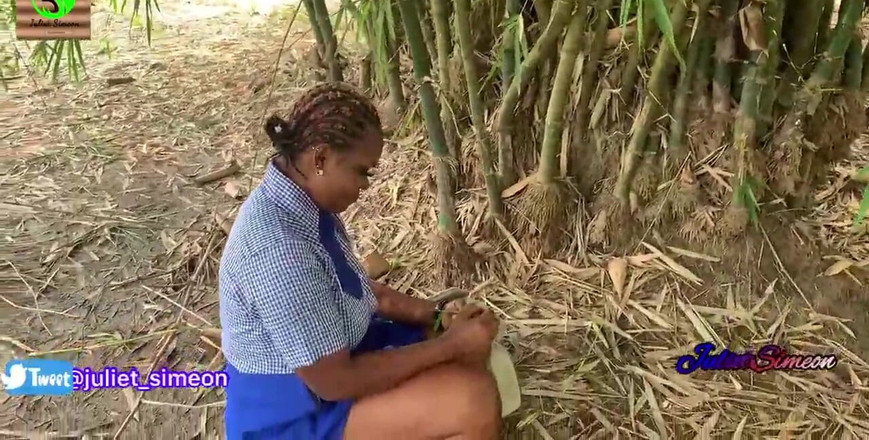 Julietsimeon: Julietsimeon the Girl, Was Fucked by a Farmer in the...