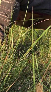 Pisse dans l’herbe dans une prairie