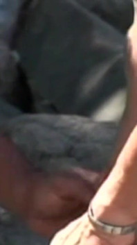 Latino-twink fickt ohne gummi mit freund