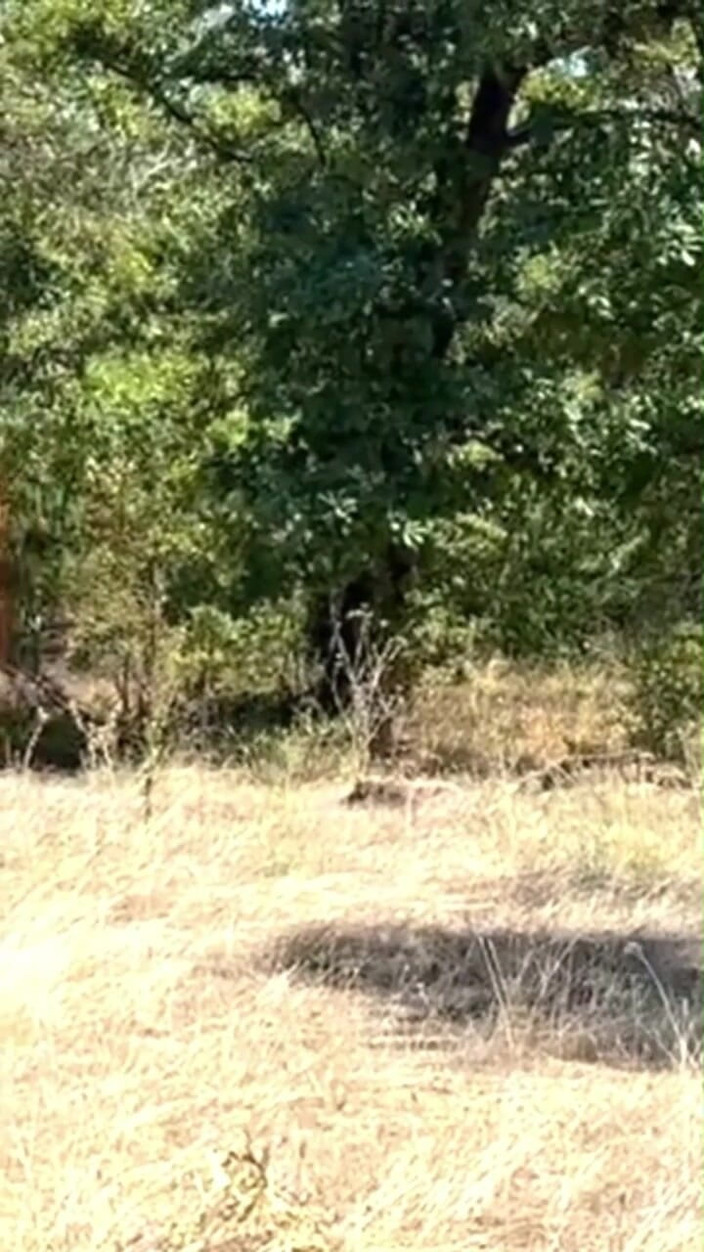 Za Za: Pedepsind-o pe sclavă