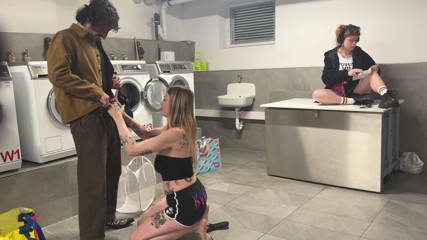 yukinky: Çamaşırhanede iki büyük köpek