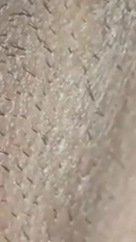 Lick My Girlfriend's Pussy Until She Moans in Pleasure