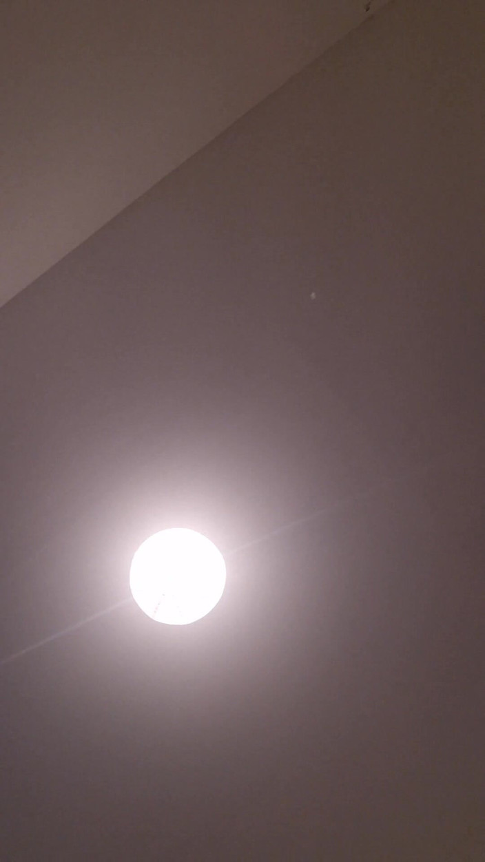 Spagnols anal: 새로운 모험을 조사.