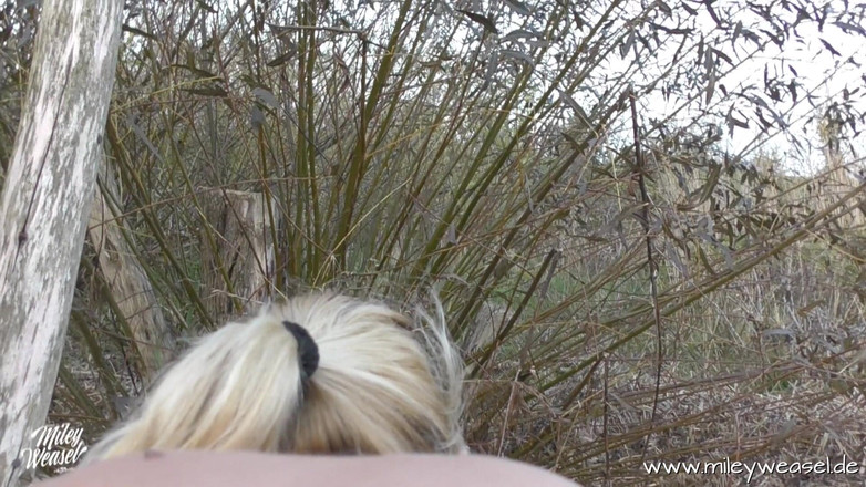 Miley Weasel: Pantat bahenol cewek imut rambut pirang ini dientot habis-habisan sama...