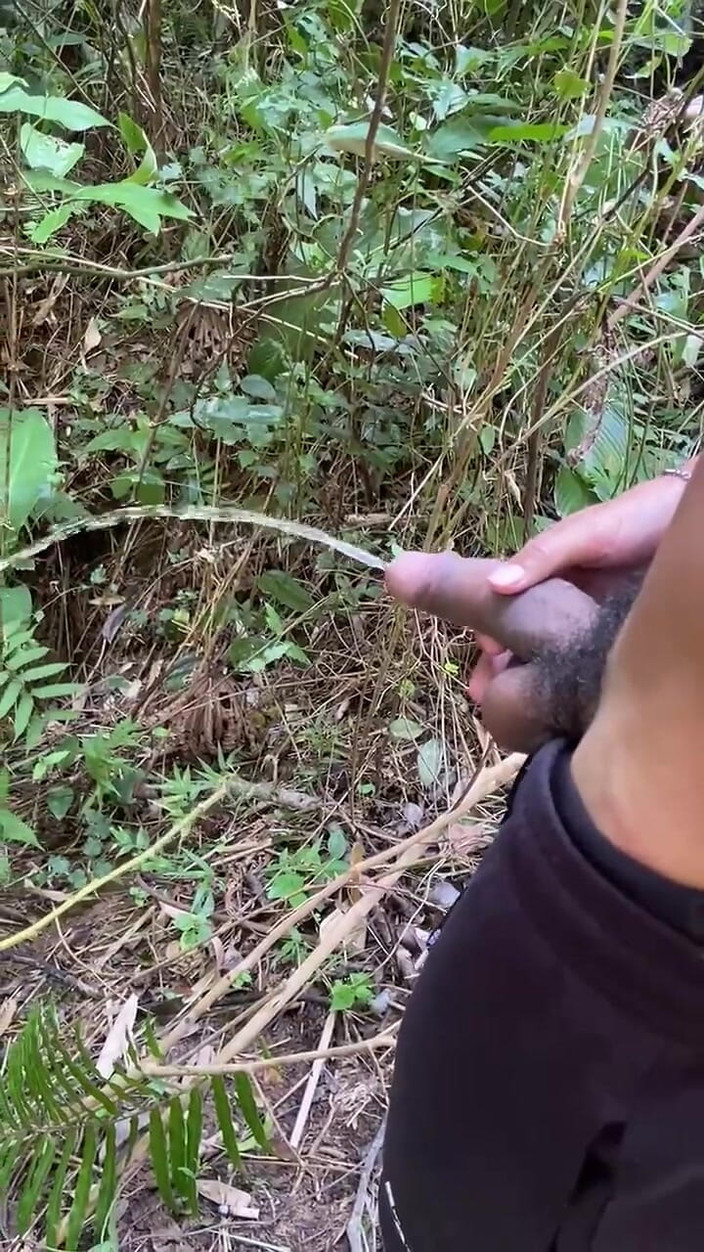 Vida Noite: Naštvaný vášní Chčije na traily