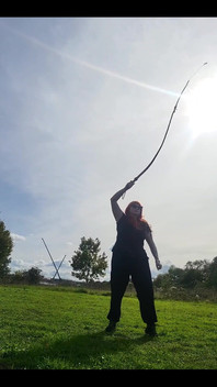 Some Bullwhip Practice in the Park