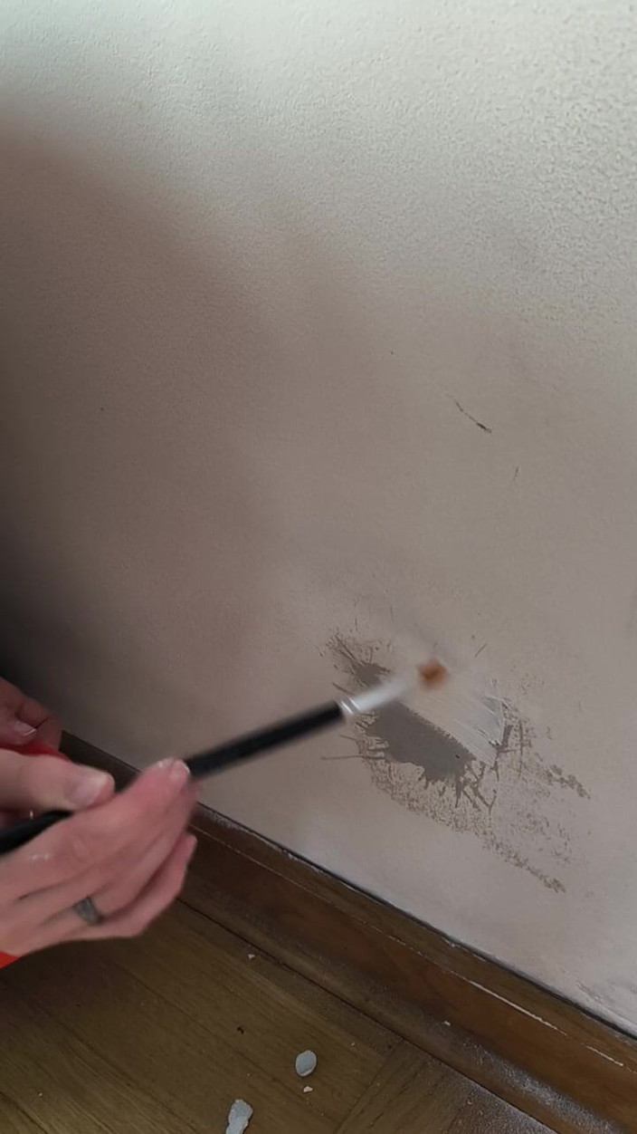 FenekManul: Pintura pared con princesa de reparación