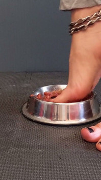 Viande en boîte sous les pieds
