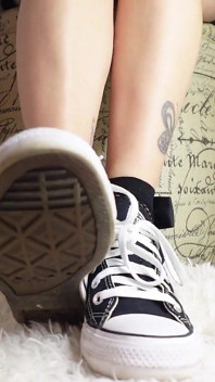 Converse & plasă