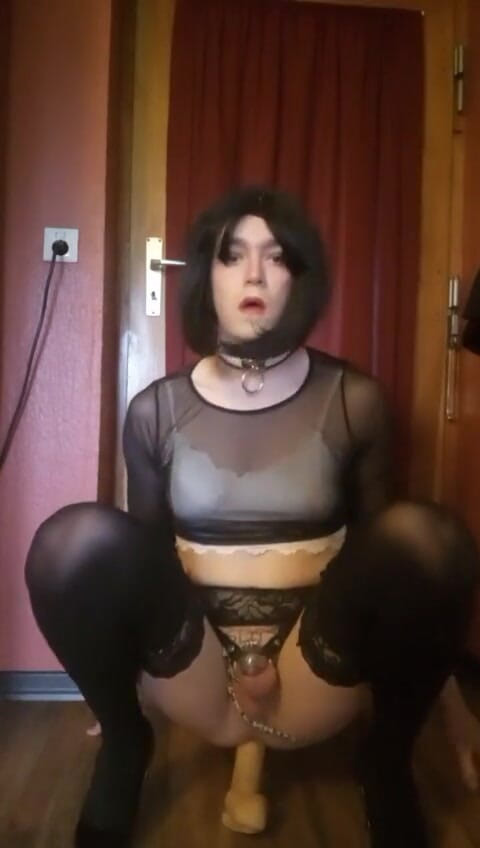 Sissy Lana: 아빠는 나에게 그렇게 말했지