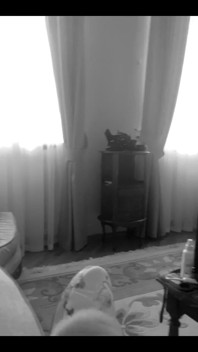Cozy Home for Someone Is Woman in Furry Slippers Offering Medium Anal Plug as Aperetif for Lunch)