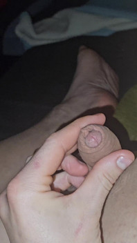 Tea Trans Hole