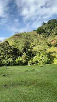 A Beautiful View