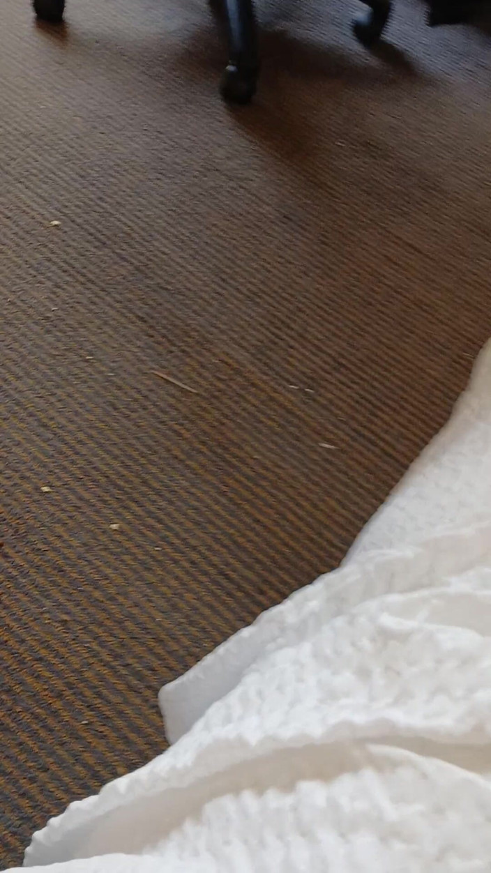 Taleny: Latina esposa gostosa é a melhor em boquetes
