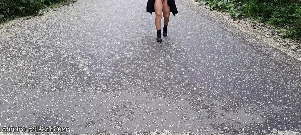 Sandra Falkenhauer: Kto idzie ze mną na spacer?