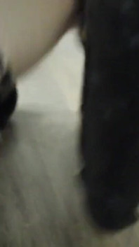 第4集。Restless Nastenka