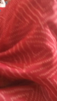 Desi Bhabhi's Beautiful Pussy