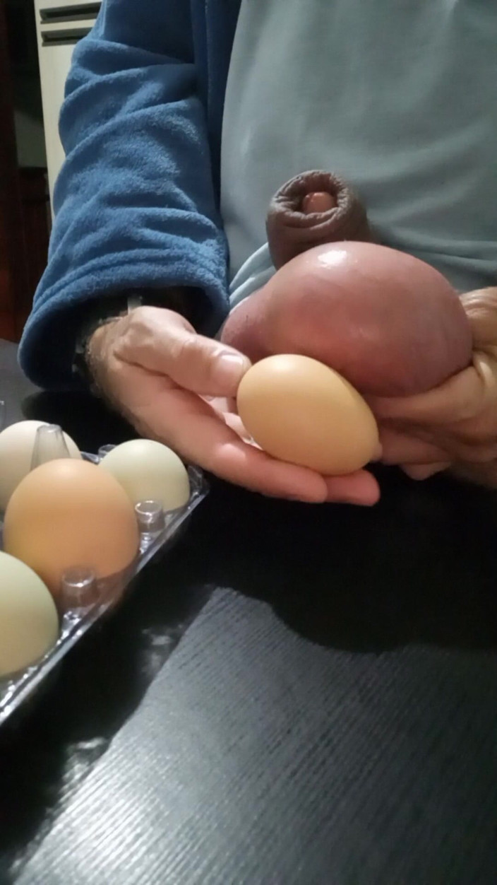 Lion big balls: Measuring and Eggs Comparing