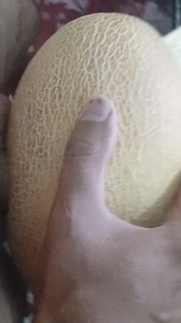 AlexCat: A Melon Named Yulia