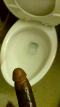 Cam Video