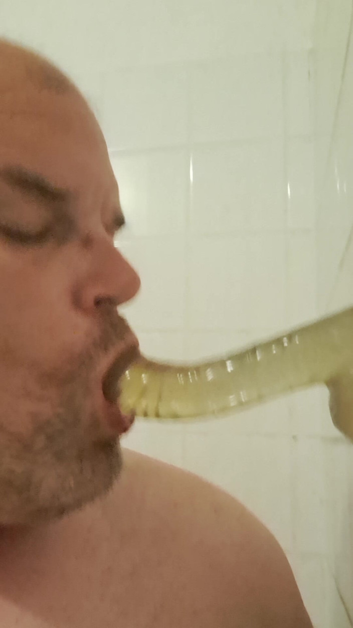 Fickspecht: Menghisap Tamak
