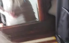 Missi Pt.29