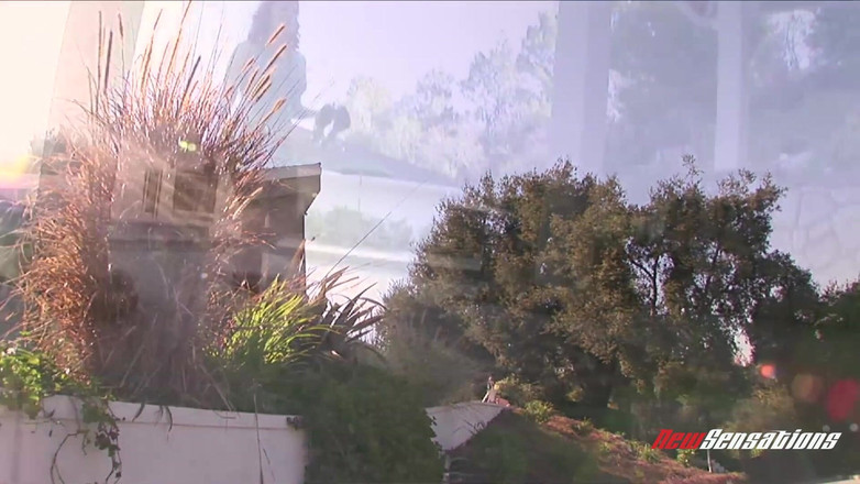 Shane Diesel XXX: Miss bunny - milfs nehmen diesel # 02