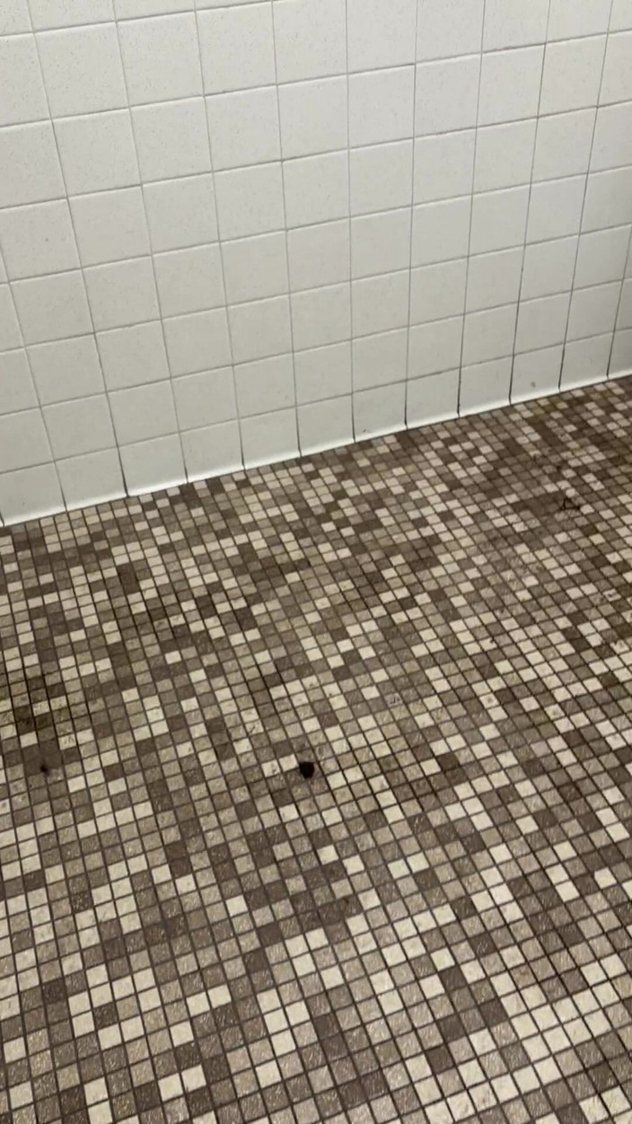 Tatted Daddy: Public Sink Piss