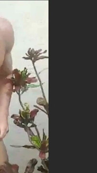 झाड़ियों में कॉल करना जहां लोग मुझे गली से देख सकते थे । वह गर्म, सटीक, पागल, और मज़ा था
